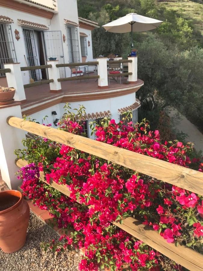 Villa Los Naranjos Sayalonga Zewnętrze zdjęcie