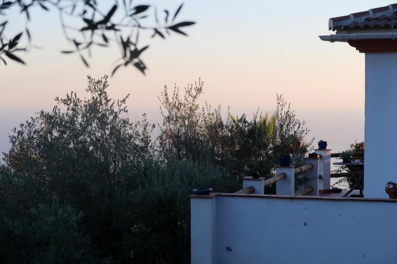Villa Los Naranjos Sayalonga Zewnętrze zdjęcie